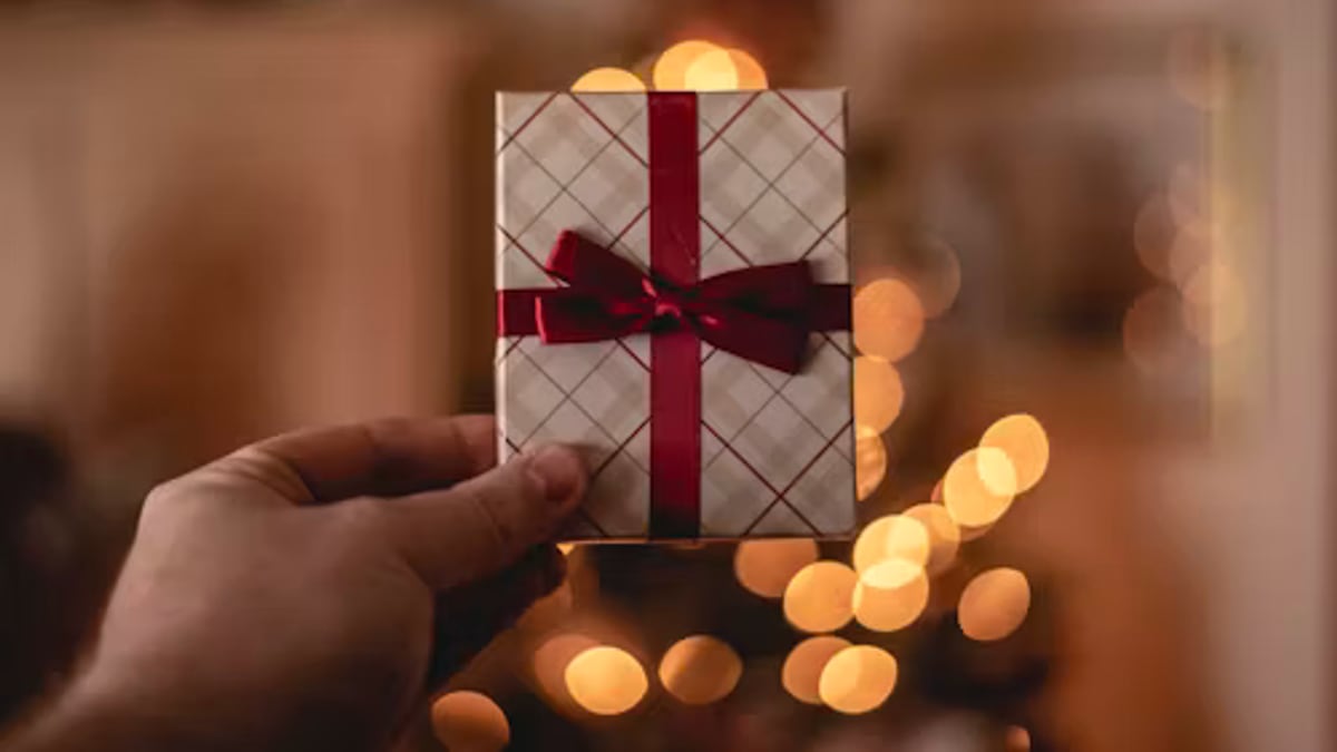 person receiving parcel gift home in an everyday setting